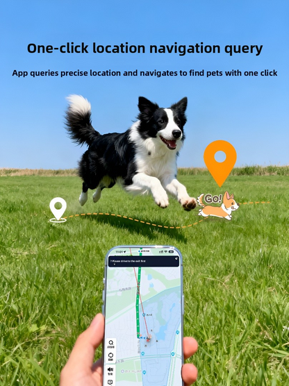 Pet anti-lost collar GPS locator