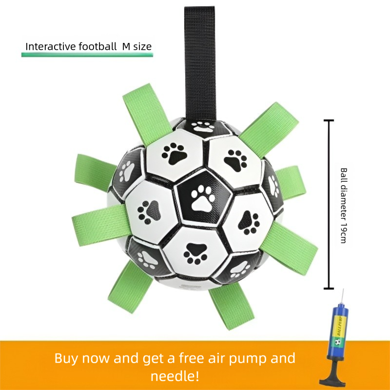 Dog football toy