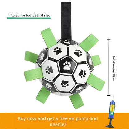 Dog football toy