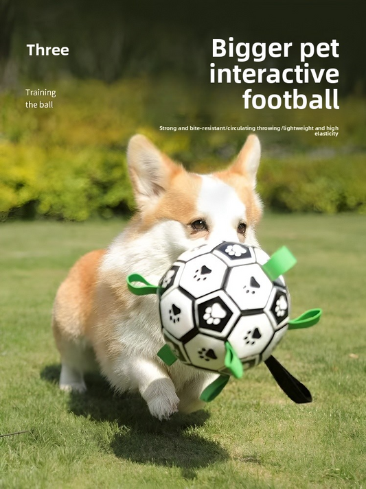 Dog football toy