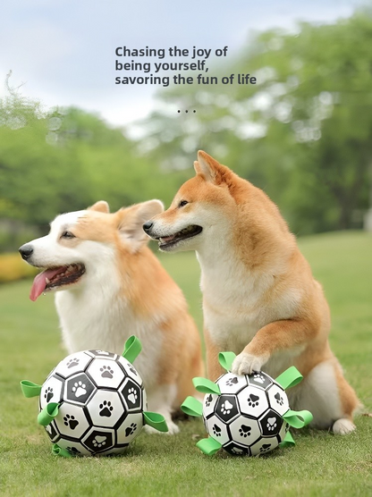 Dog football toy