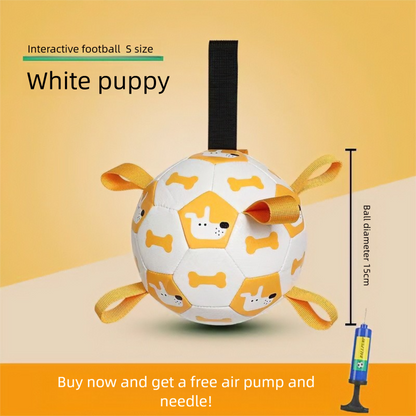 Dog football toy