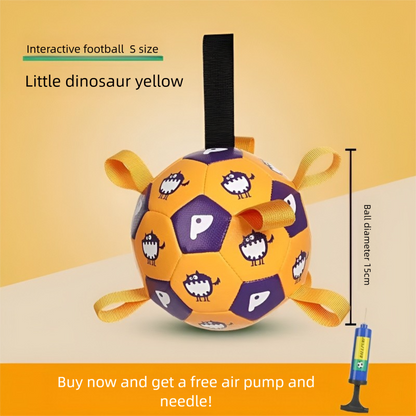 Dog football toy