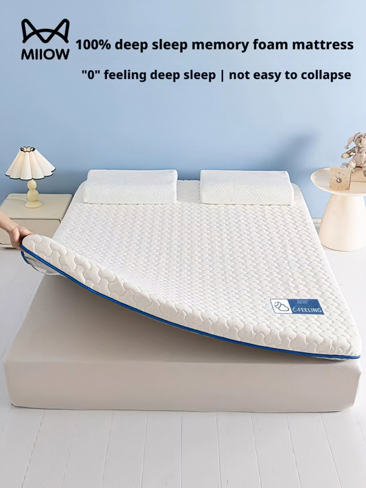 Memory cotton mattress