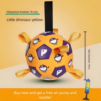 Dog football toy