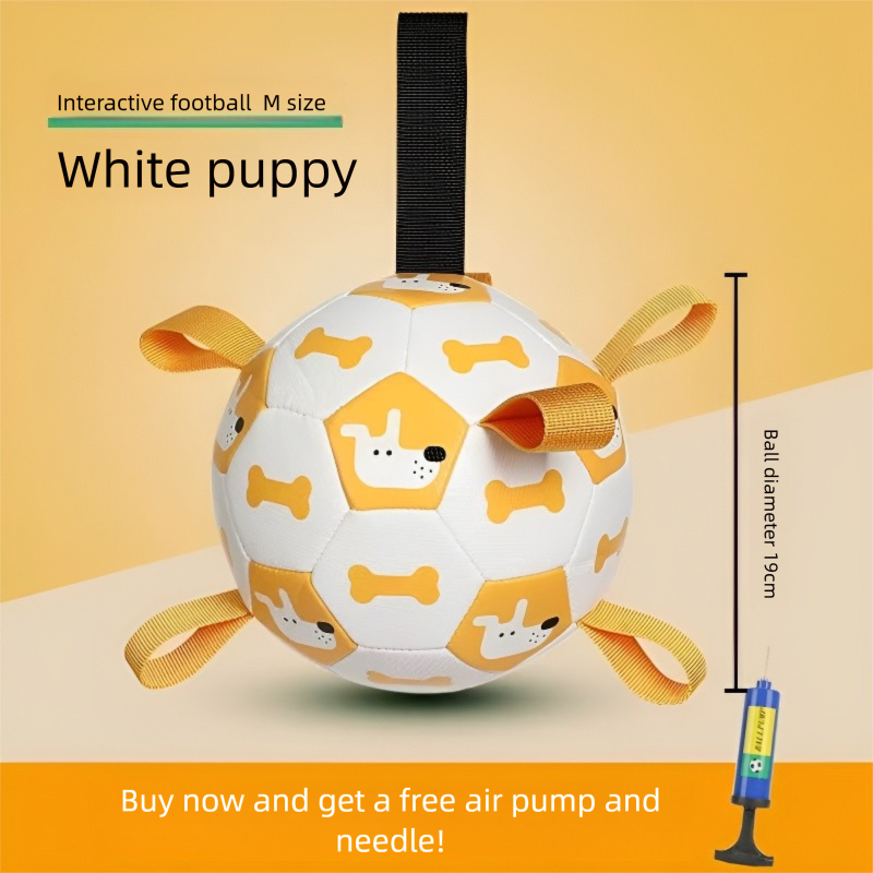 Dog football toy