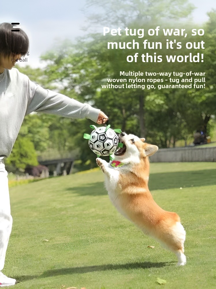 Dog football toy