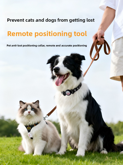 Pet anti-lost collar GPS locator
